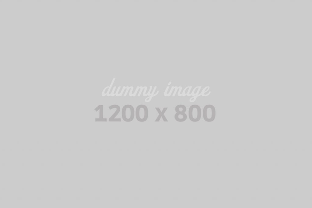 dummy1200800